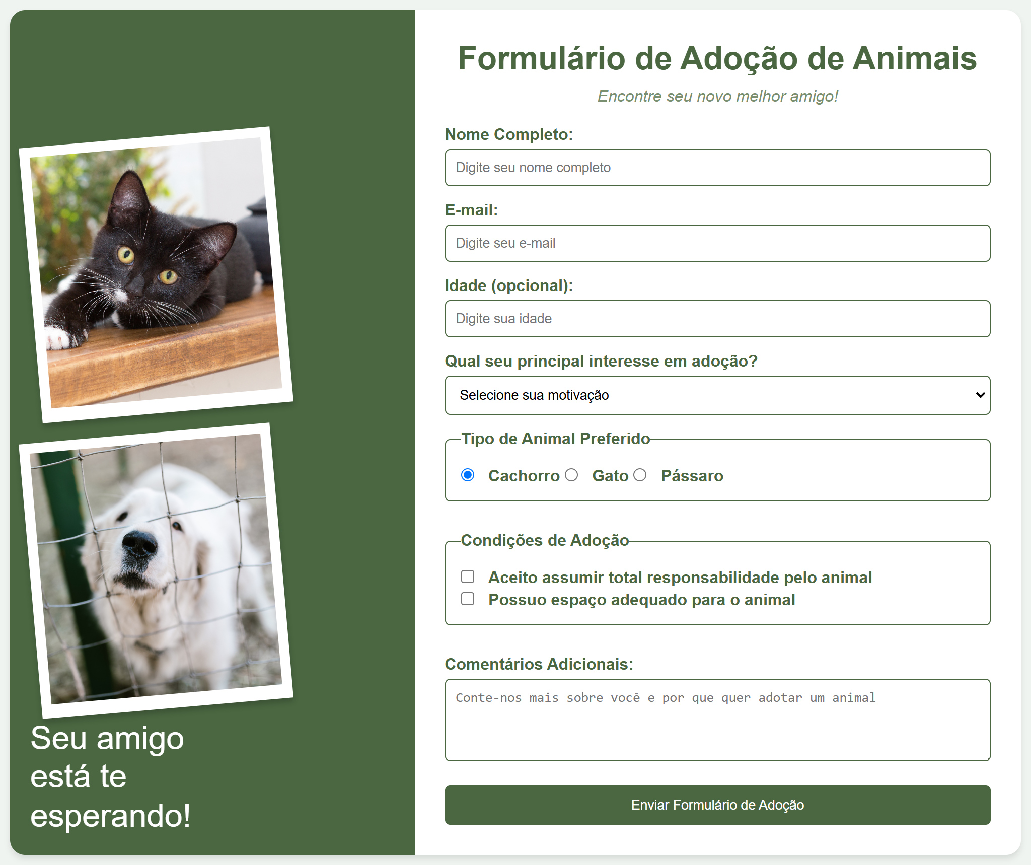 Print do projeto Formulário de Adoção de Animais